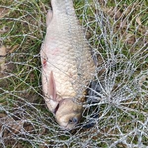 Дубенський водохранилище