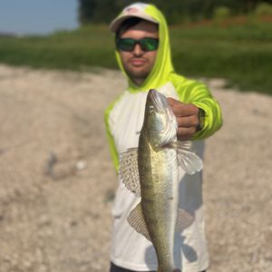Мукша
