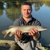Олексій Гаврищук