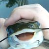 Артем🐟