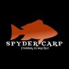SPYDER CARP