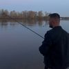 Minnow