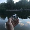 Yaroslav