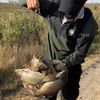Scromnuy