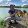 Роман Левицький