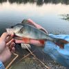 Fishing_mpz