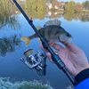 ViktorLV🎣