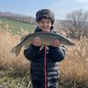 Dima