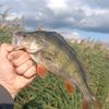 Рибацюга🎣