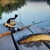 Роман🎣