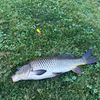 _fishing_fisherman_