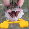 Ілля