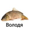 dream of fish