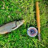 Vlad fly fishing
