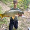 Морміст