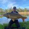 RoyalCarp