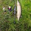ArsenTernopilFisher🎣