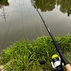 VivANchek