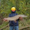 Fisherman