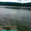taras