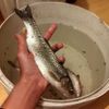 DanielForPike