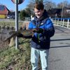 De roofvissen