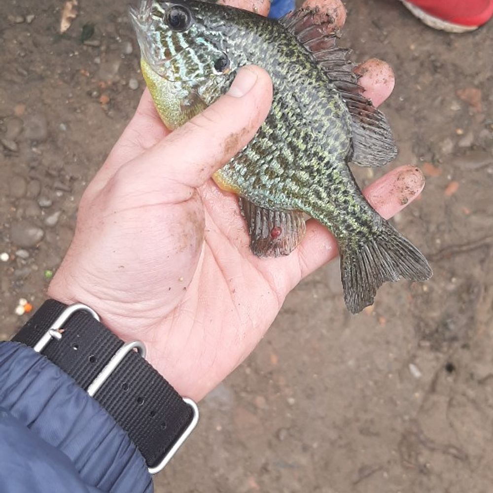 керпичка