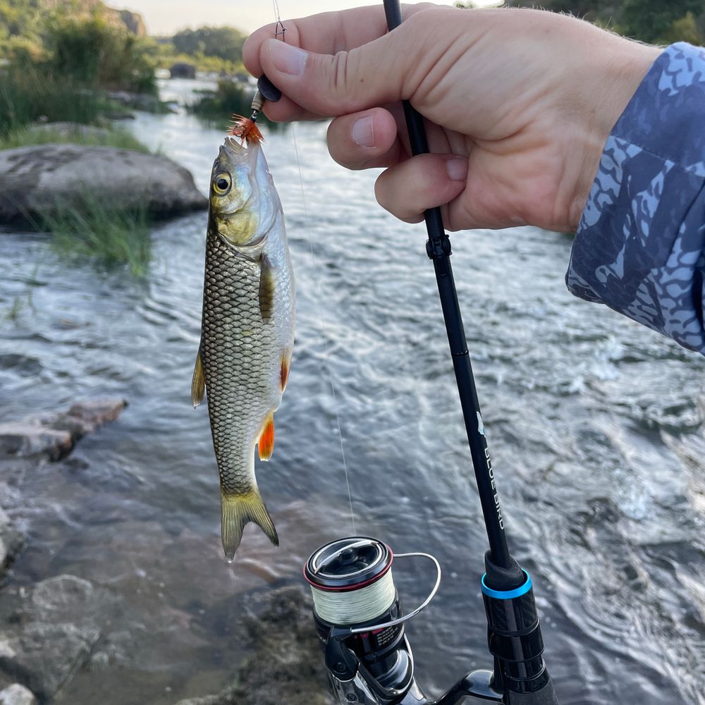 🔑🐟