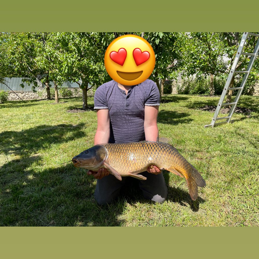Сільське озеро 