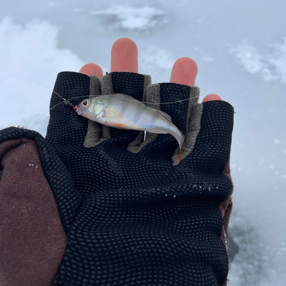Міське озеро