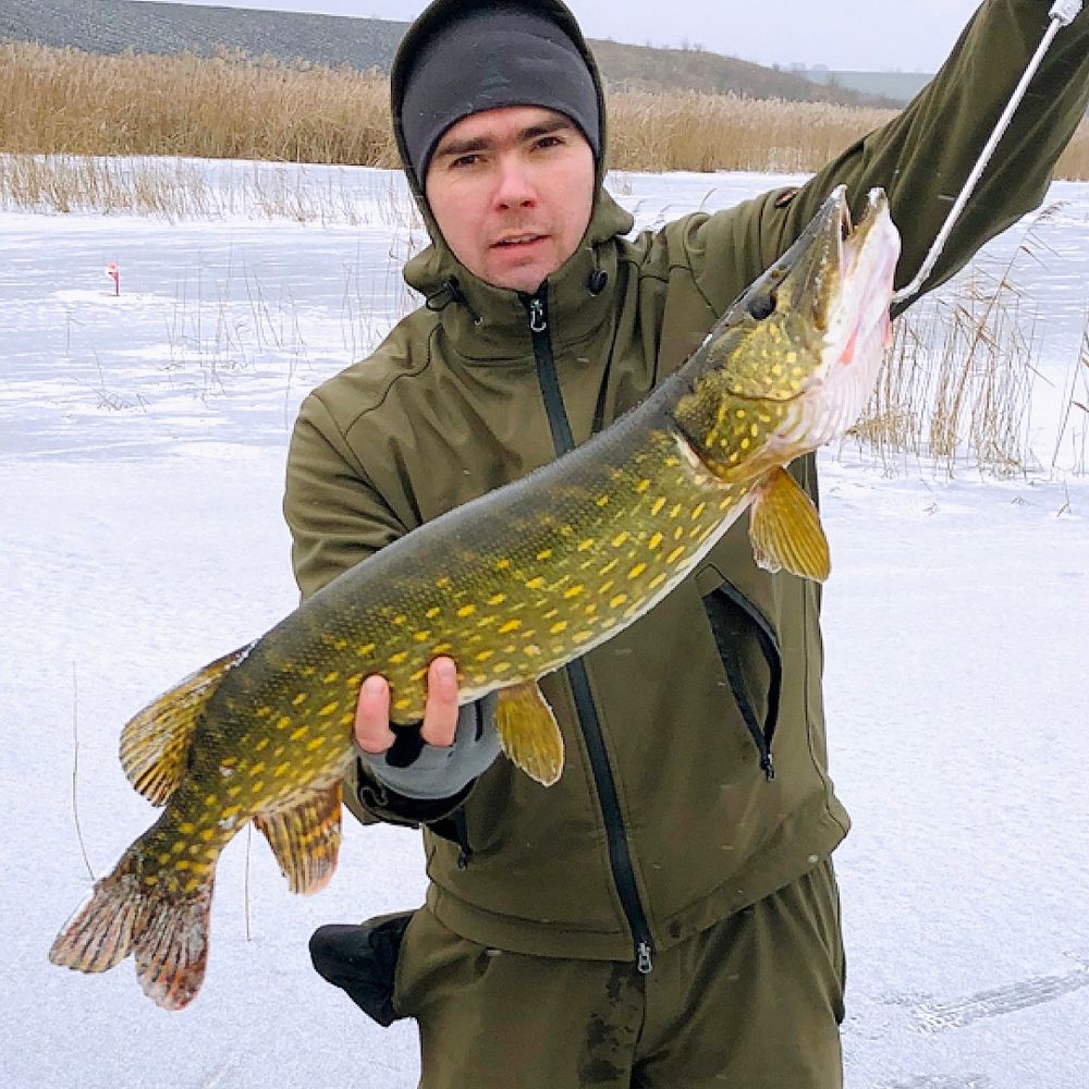 Підвисоке