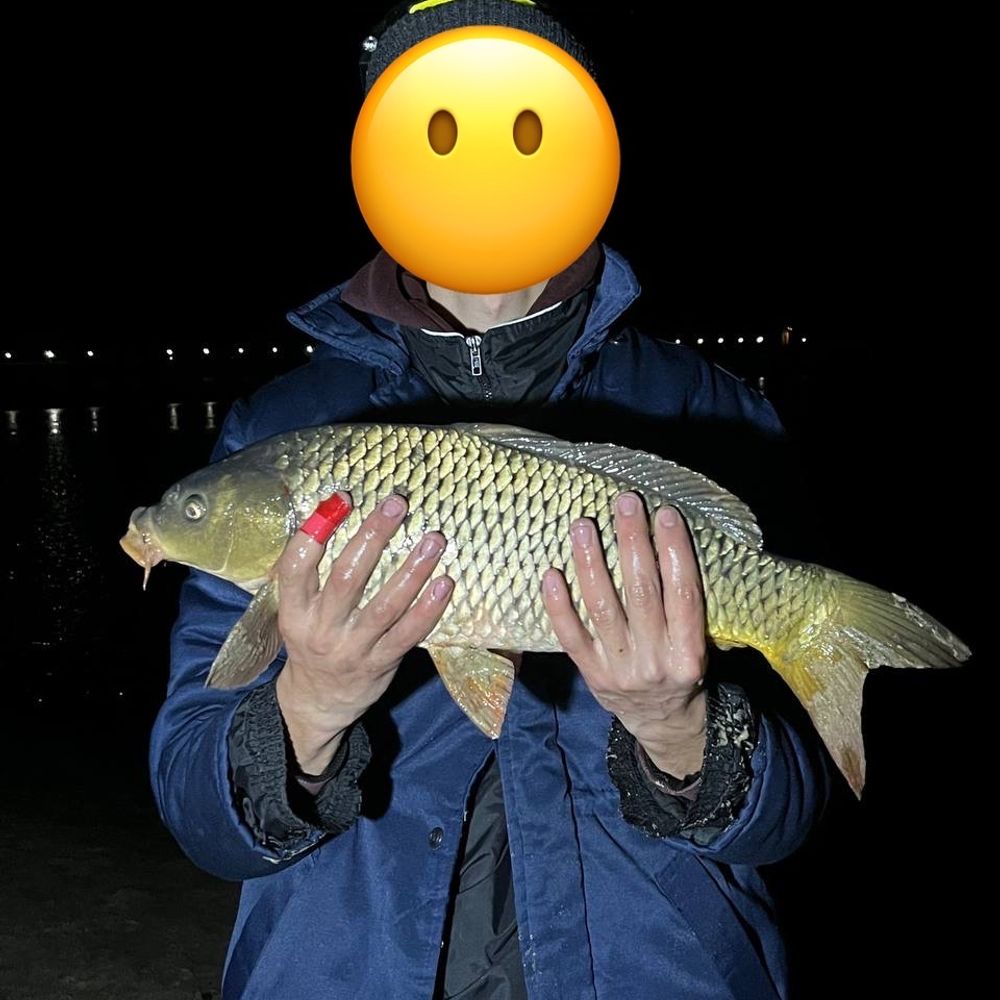 русло Дніпра