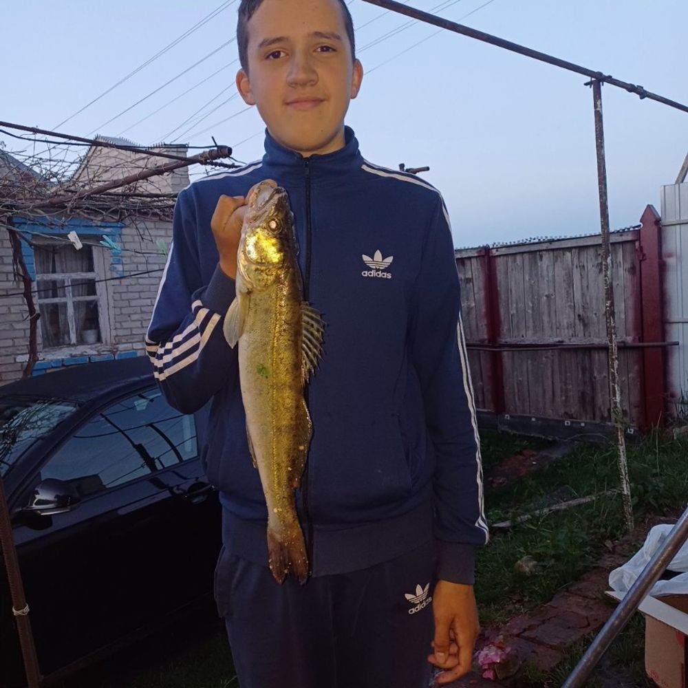 судак на 989г. 