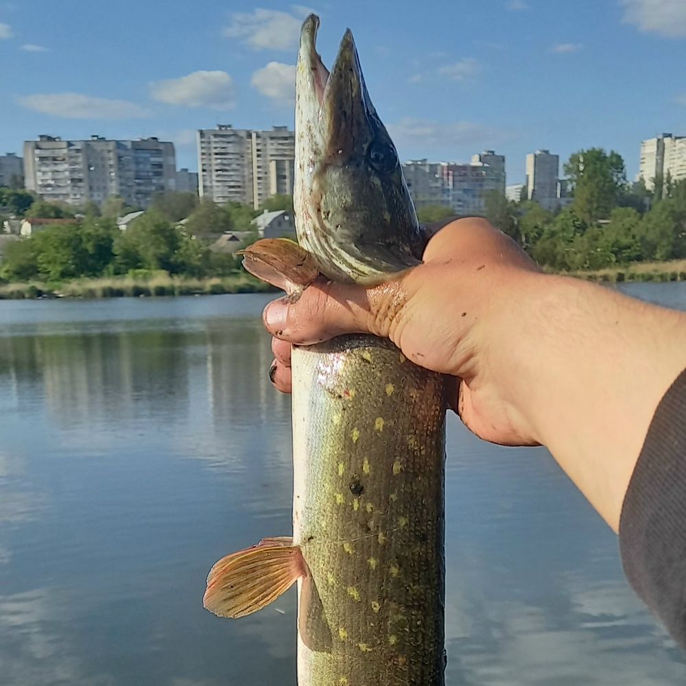 Болотце