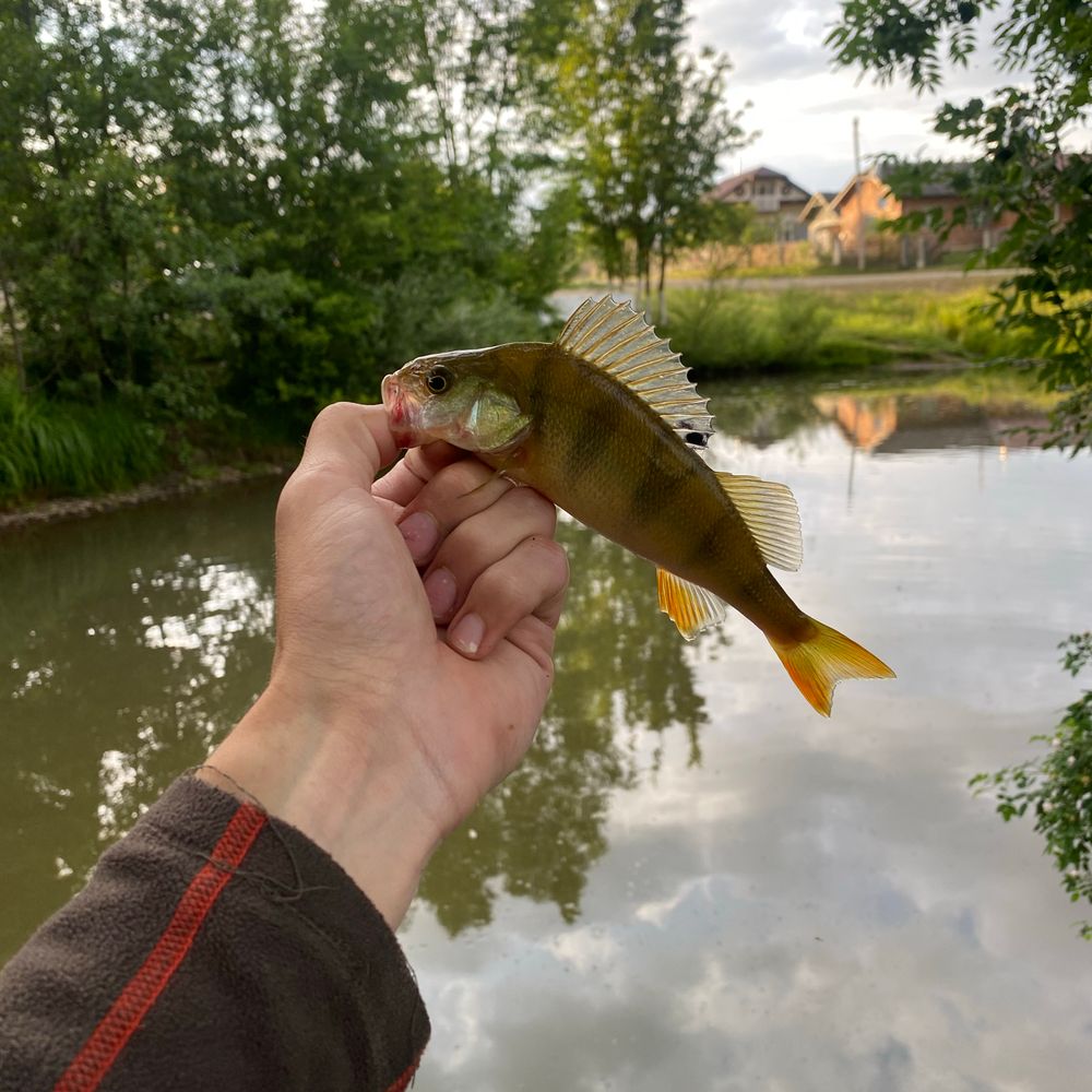 Річка