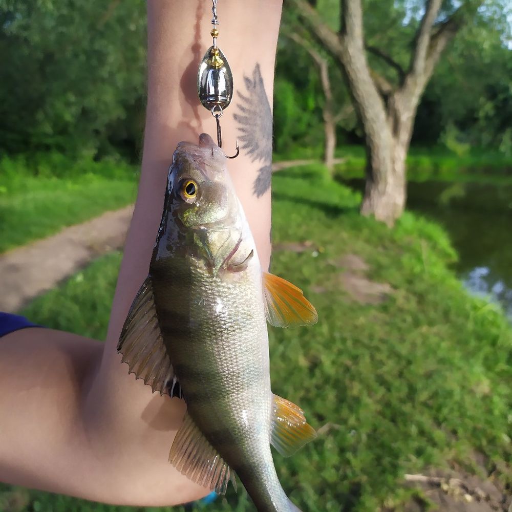інститутське 