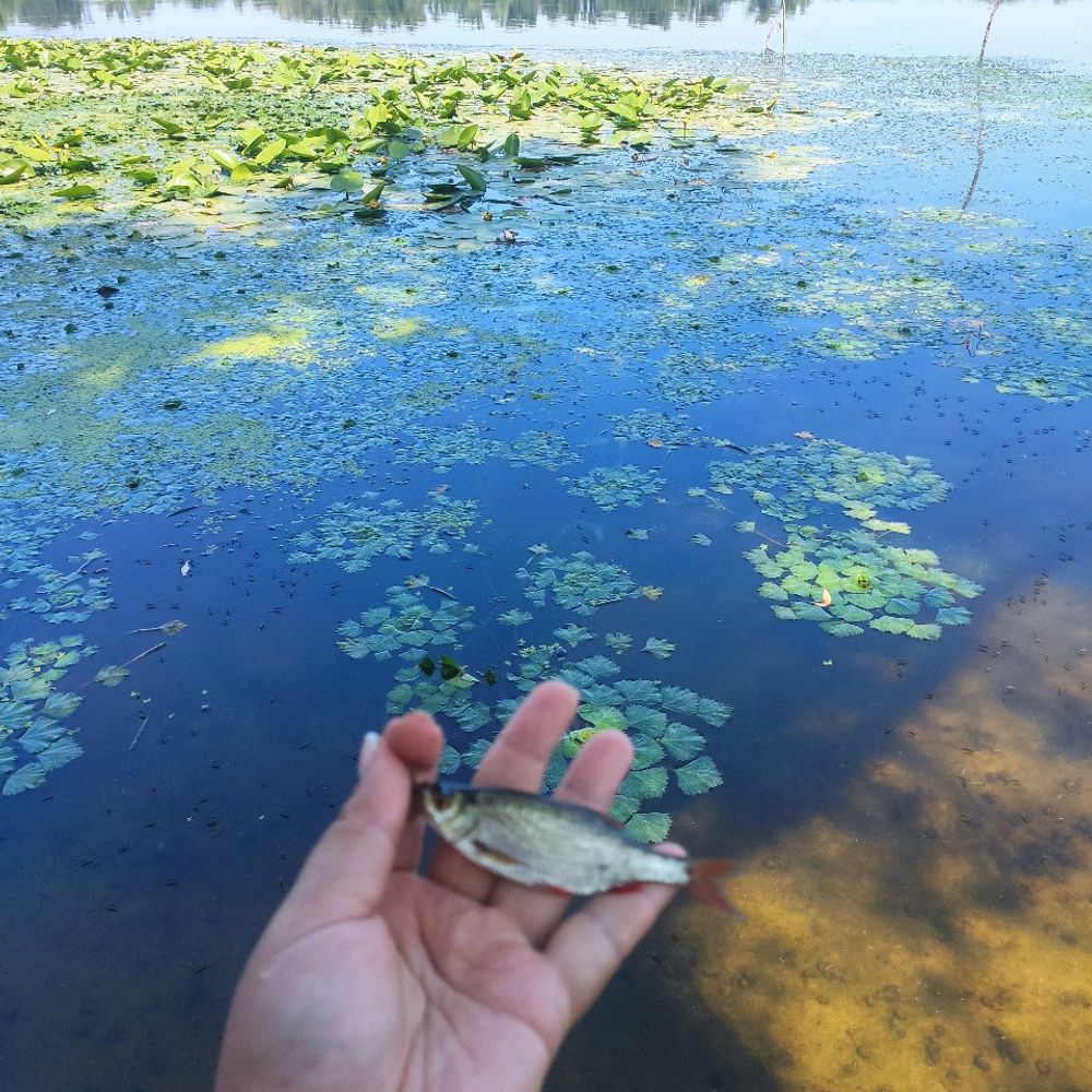 Дніпро 