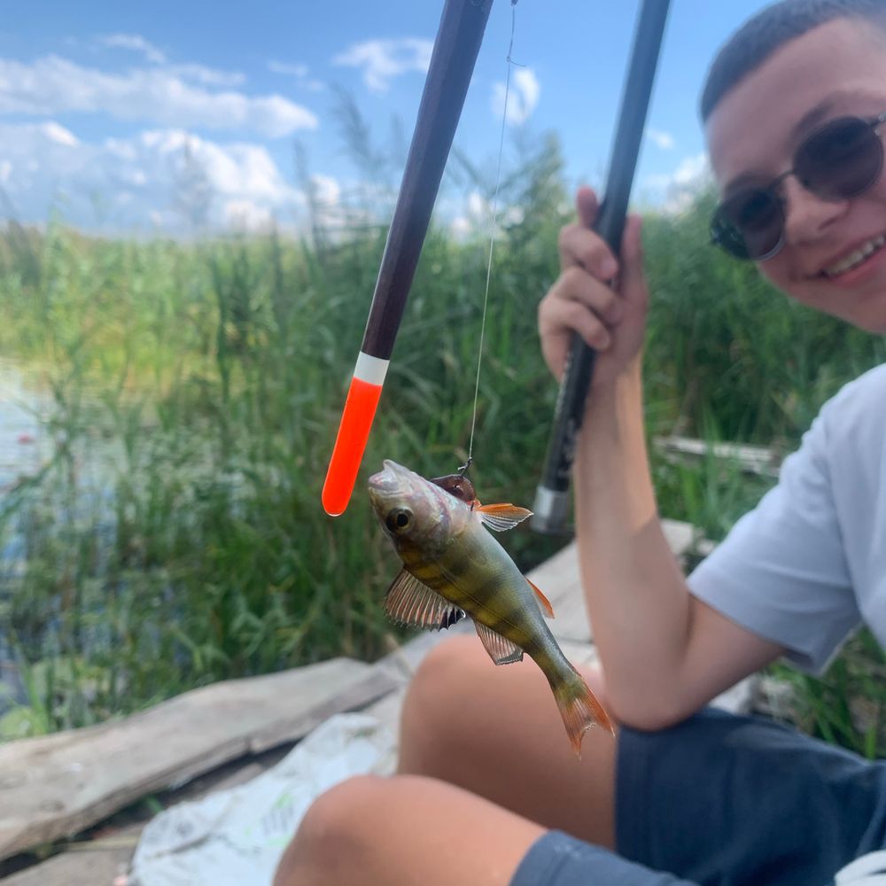 Турія