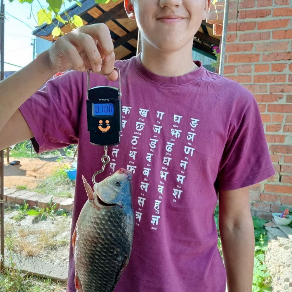 клунув на кукурудзу 