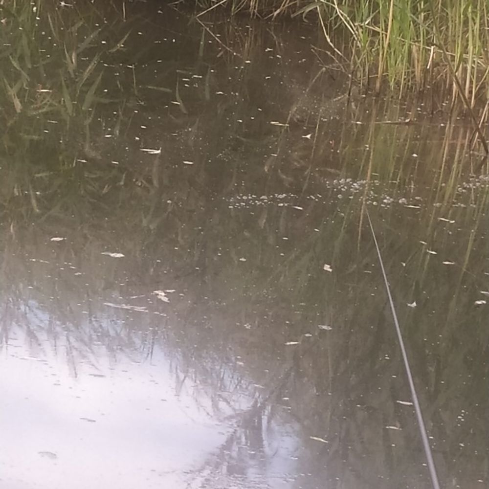 водойма )