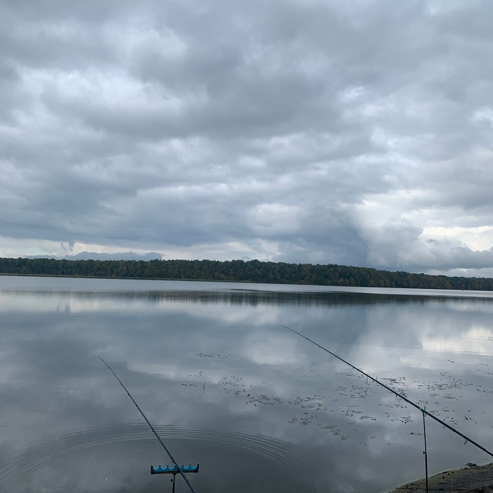 Водосховище в Рожнятові