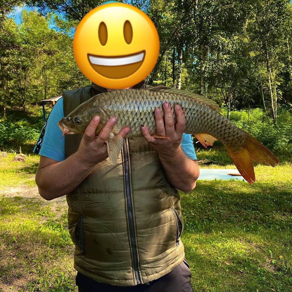 Білі камені 1.3