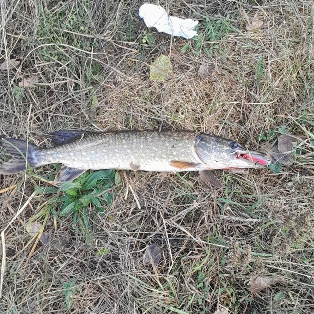 Ніжин  річка Остер 