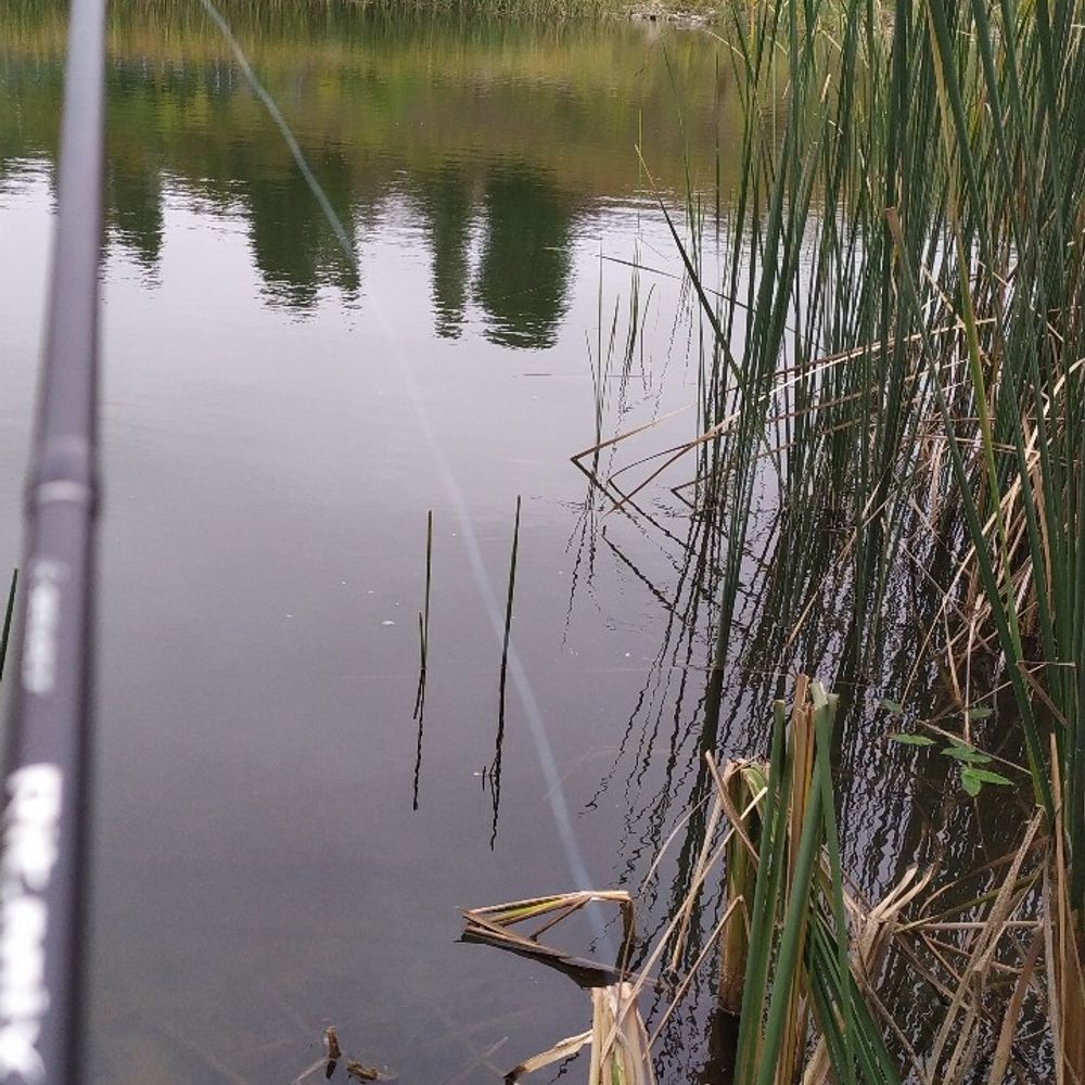 водойма 