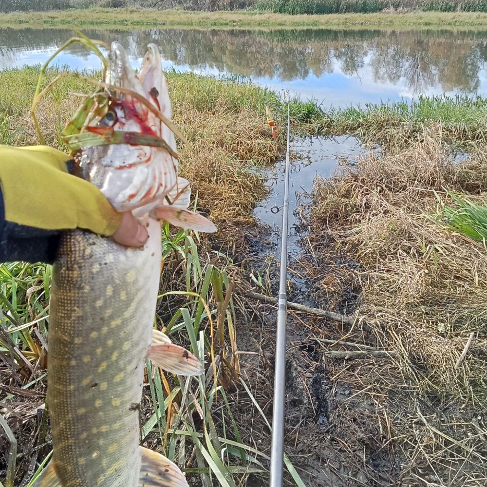 річка Західний Буг 