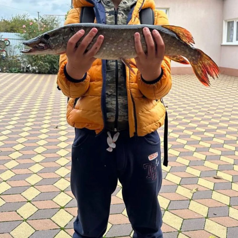 Водосховище кривеньке