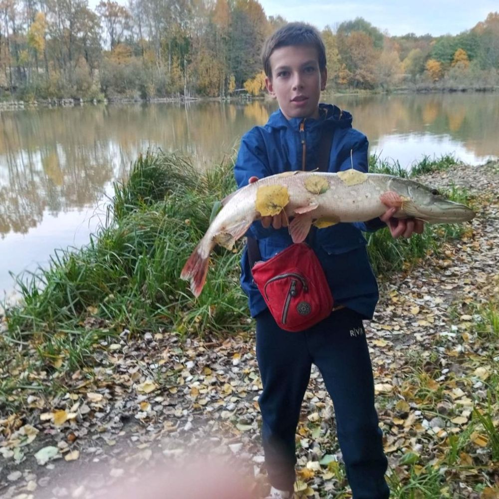 на силікон 2 дюйми
