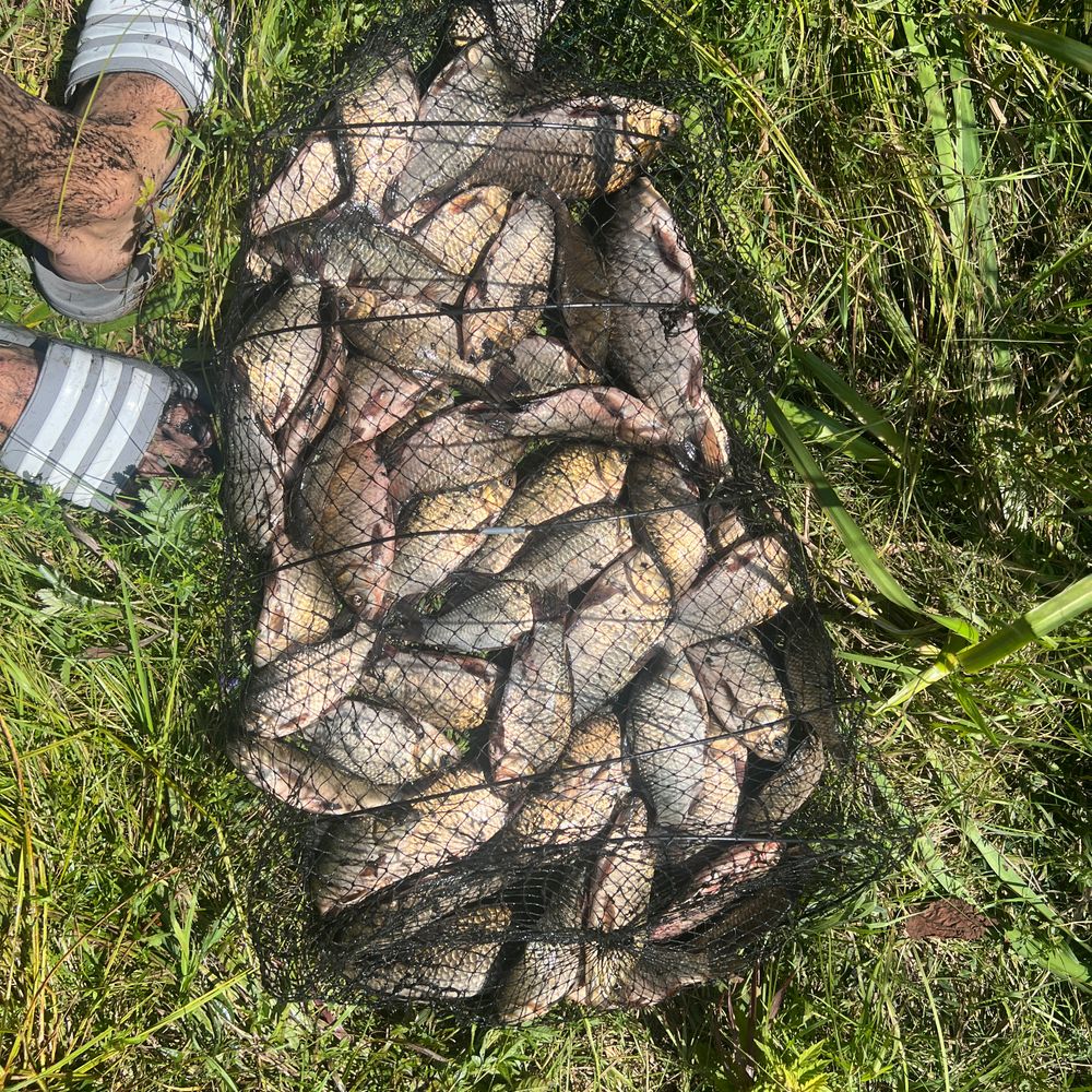 Озёра на сейму 