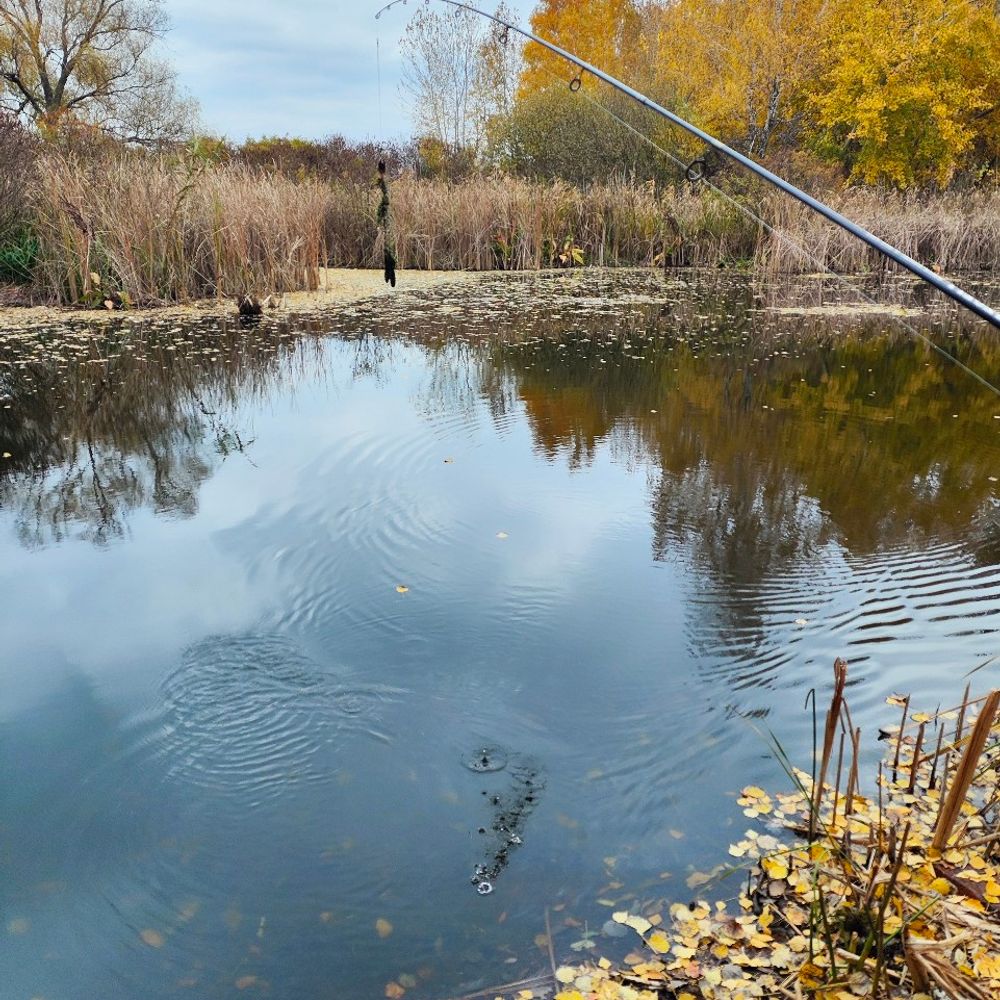 Гарна Місцина 