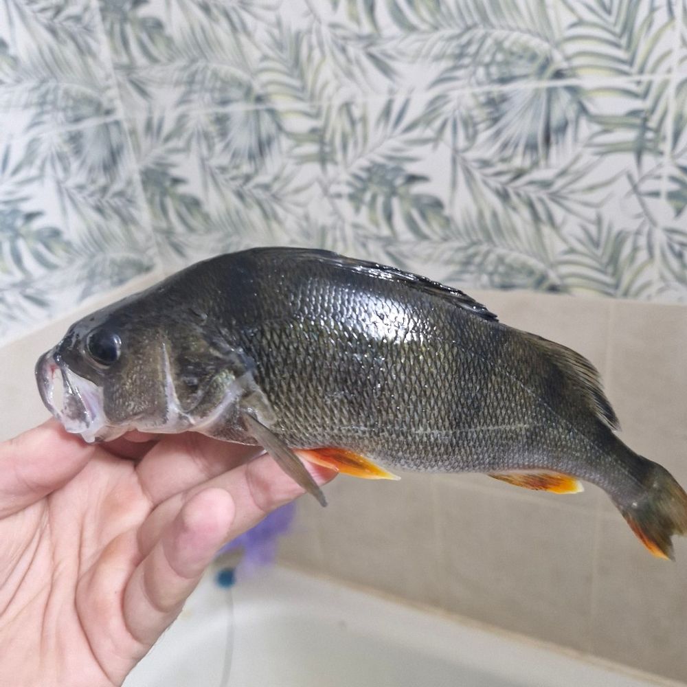 під маяком